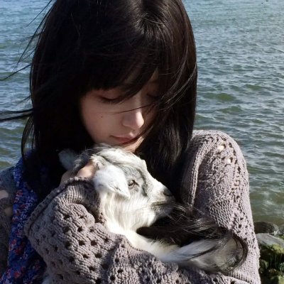 不确定的寓意：新三只小猪